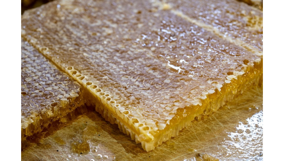 ¿Cómo se hace la miel? ¡Este es el proceso!